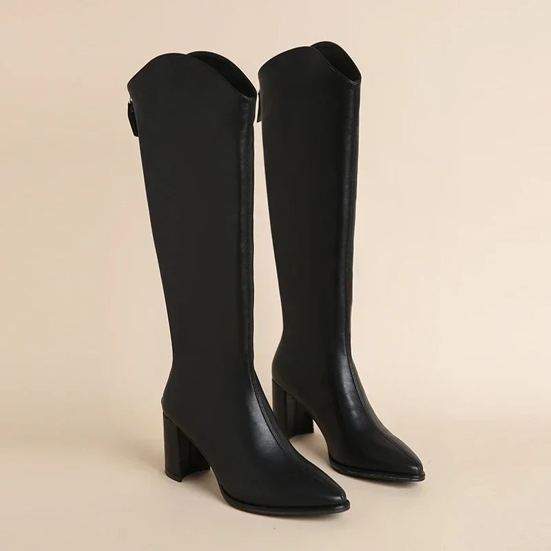 Plus Size 34-43 New Women Boots Zipper Thick High Heels Simple Thick High Heels Autumn Winter Boots Knee High Botas boots_highheel