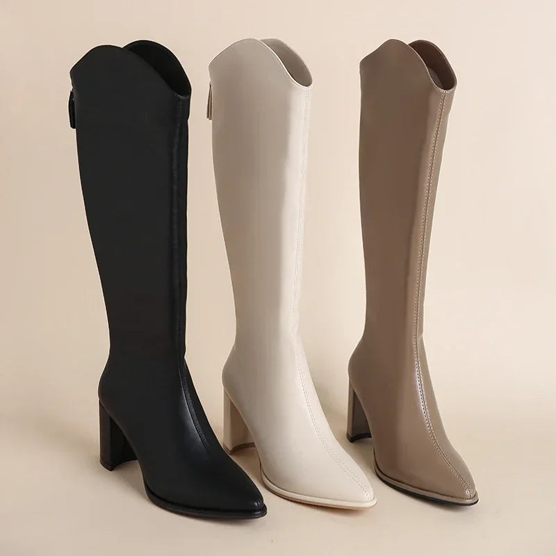 Plus Size 34-43 New Women Boots Zipper Thick High Heels Simple Thick High Heels Autumn Winter Boots Knee High Botas boots_highheel